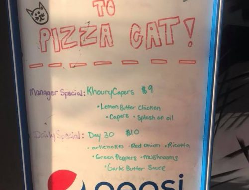 Pizza Cat Shows Their Support